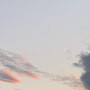 Meet your Posher, Dylan